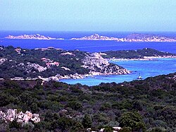 Una vista panorámica de la costa cerca de Capriccioli