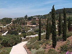 Vista panorámica general del Jardín botánico de Barcelona.