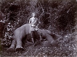 Fotografía de Francisco Fernando junto a un elefante cazado