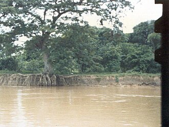 Erosión en la margen izquierda del río Apure en Venezuela frente a El Samán