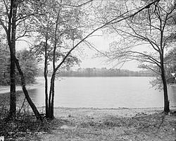 Paisaje del estanque Walden en Massachusetts