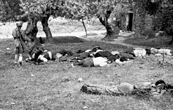 Tropas paracaidistas en operaciones de combate.