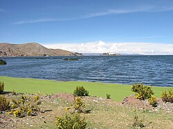 Proliferación de lenteja de agua por contaminación