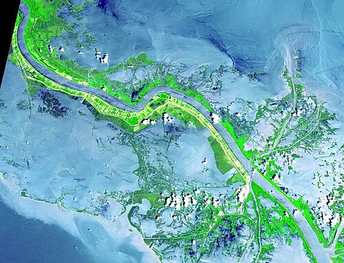 Delta del río Misisipi y sus diques naturales
