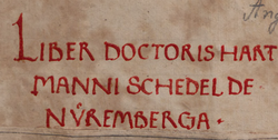 Firma y notas documentales de Hartmann Schedel