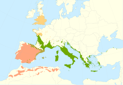 Mapa de distribución de las subespecies de Quercus ilex
