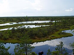 Parque nacional de Kemeri