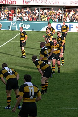 Emblema o representación vinculada a los Wasps