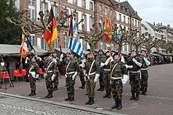 Desfile militar del Eurocuerpo en Estrasburgo
