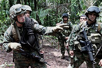 Entrenamiento conjunto de operaciones en la selva