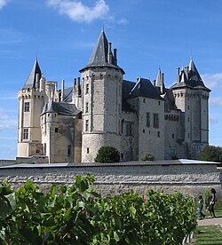 Castillo de Saumur en la región