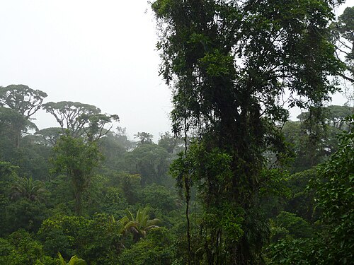 Paisaje del Parque nacional Braulio Carrillo