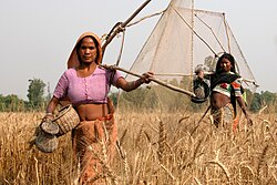 Mujeres Rana Tharu pescando en Nepal