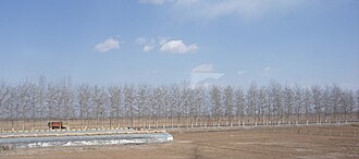 Paisaje de la Llanura del Norte de China
