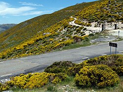 Puerto de Serranillos