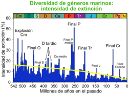 Intensidad de las extinciones