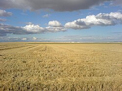 Paisaje de la submeseta Norte
