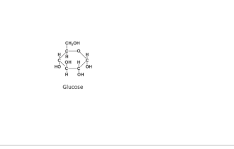 Representación animada del proceso de glucólisis en el citosol.
