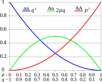 Gráfico del principio de Hardy-Weinberg para dos alelos