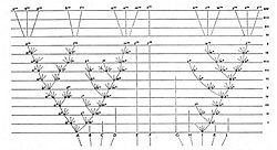Diagrama de Darwin en El origen de las especies
