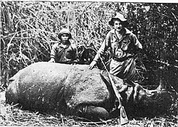 Rinoceronte de Java en una fotografía histórica
