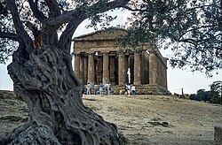 Templo de la Concordia