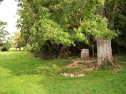 El marcador de piedra en la fuente conocida como Thames Head, situada cerca de Kemble.