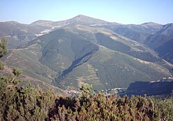 Sierra de la Demanda y pinar
