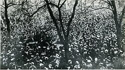 Soldados y trabajadores polacos eligiendo un consejo en Poznań en noviembre de 1918