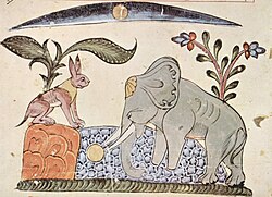Representación de la fábula tradicional india La liebre y el elefante