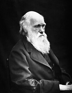 Retrato de Charles Darwin en sus últimos años