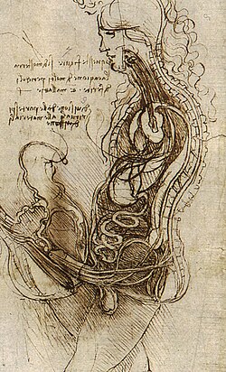 Dibujo anatómico de Leonardo da Vinci de una pareja humana hemiseccionada durante el coito.