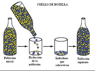 Representación de reducción poblacional