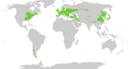 Mapa de distribución global de los bosques caducifolios y mixtos