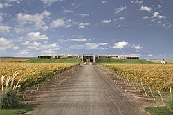 Bodega en la región vitivinícola neuquina