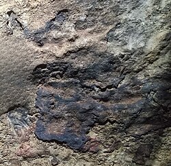 Pintura rupestre de una cabeza de toro