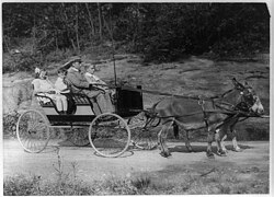 Tres niños pieds-noir en una carreta tirada por dos burros en 1905