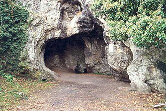 Entrada de la Cueva de Spy en un entorno boscoso