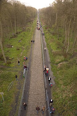 Ciclistas atravesando el Bosque de Arenberg