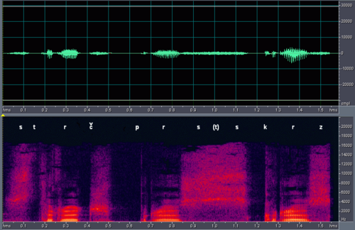 Espectrograma de la oración Strč prst skrz krk