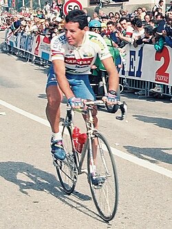 Stephen Roche en el Tour de Francia