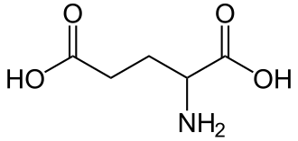 Representación conceptual de la actividad sináptica