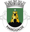 Detalle cartográfico o institucional de Mangualde