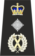 Epaulette de comisionado de policía