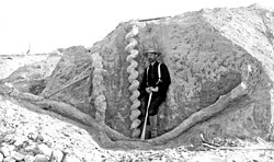 Excavación de una madriguera fósil de Daemonelix en el Monumento Nacional Agate Fossil Beds