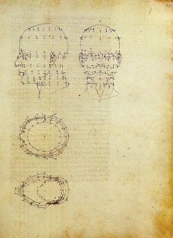 Proyección de una cabeza humana, procedente de la obra De prospectiva pingendi