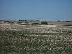 Pradera en Alberta, Canadá