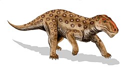 Lycaenops, un género extinto de sinápsidos.