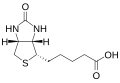 Estructura química detallada de la biotina