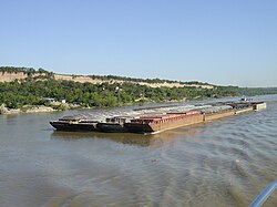 Tren de barcazas en el río Paraná